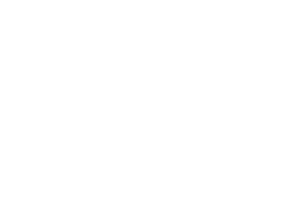 Hult Prize White